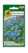 Nasiona i cebule - Niezapominajka niebieska 0,3 g PNOS Ożarów - miniaturka - grafika 1