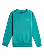 Bluzy dla chłopców - BILLABONG Chłopięca bluza Arch Cr (1 szt.) - miniaturka - grafika 1