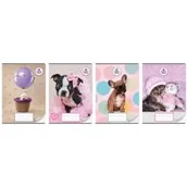 Zeszyty szkolne - Beniamin Zeszyt A5/16K linia potrójna kol, TSP (20szt) - miniaturka - grafika 1