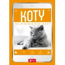 Koty Najpiękniejsze Rasy Małgorzata Młynek - Słowniki języków obcych - miniaturka - grafika 1