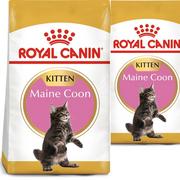 Inne - Royal Canin Maine Coon Kitten 36 2x10kg - miniaturka - grafika 1