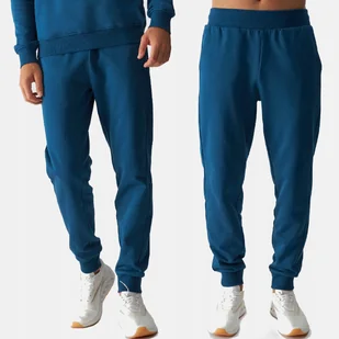 SPODNIE DRESOWE MĘSKIE 4F 3XL JOGGERY DRESY SPORTOWE TTROM0942 AW24 - Dresy męskie - miniaturka - grafika 1