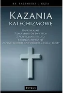 Religia i religioznawstwo - Kazania katechizmowe 1 - miniaturka - grafika 1