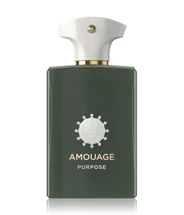 Amouage Odyssey Purpose woda perfumowana 100 ml - Wody i perfumy męskie - miniaturka - grafika 1