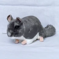 Maskotki i pluszaki - Roxi, Szynszyl, maskotka, 22 cm - miniaturka - grafika 1