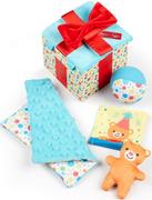 Zabawy w naśladowanie dorosłych - Drewniane pudełko z zabawkami sensorycznymi Wooden Surprise Gift Box Melissa & Doug - miniaturka - grafika 1