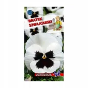 Nasiona i cebule - Bratek szwajcarski biały z plamą 0,3g / O / - miniaturka - grafika 1