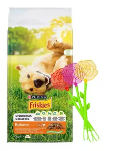 Purina Friskies Purina Adult Balance, Kurczak i warzywa - 2 x 10 kg - Sucha karma dla psów - miniaturka - grafika 1