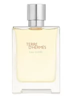 Wody i perfumy męskie - Hermes Terre dHermes Eau Givree woda perfumowana 50 ml - miniaturka - grafika 1