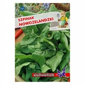 Nasiona i cebule - Szpinak Nowozelandzki 7g / O / - miniaturka - grafika 1