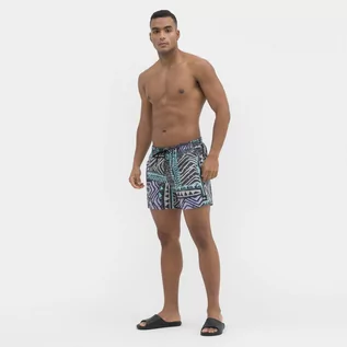 Spodnie sportowe męskie - Męskie spodenki plażowe QUIKSILVER Surfsilk Mix 15" - multikolor - grafika 1