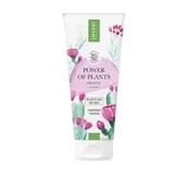 Balsamy i kremy do ciała - Lirene Power of Plants Wygładzający Balsam do ciała Miss Opuntia 200 ml - miniaturka - grafika 1