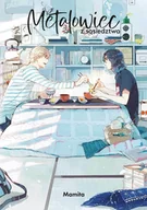 Komiksy dla młodzieży - Metalowiec z Sąsiedztwa - miniaturka - grafika 1