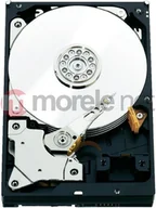 Dyski serwerowe - Western Digital Dysk serwerowy WD RE 500GB 3.5'' SATA III 6 Gb/s WD5003ABYZ - miniaturka - grafika 1