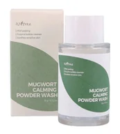 Kosmetyki do demakijażu - Isntree Mugwort Calming Enzymatyczny Proszek do Mycia Twarzy 15g - miniaturka - grafika 1