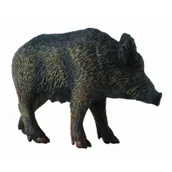 Figurki dla dzieci - CollectA Collecta Dzika bache - miniaturka - grafika 1