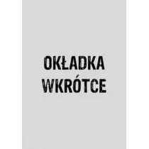 AI - podejście pragmatyczne - Książki o programowaniu - miniaturka - grafika 1