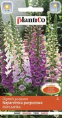 Nasiona i cebule - Naparstnica Purpurowa 0,3g PlantiCo - miniaturka - grafika 1