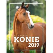  Konie. Kalendarz ścienny 2015