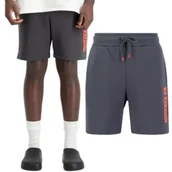 Odzież taktyczna i umundurowanie - Spodenki Alpha Industries Alpha PP Short 146365 684 - Vintage Grey  M - miniaturka - grafika 1