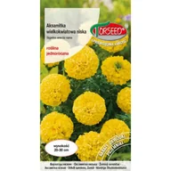 Nasiona i cebule - Nasiona Aksamitka wielkokwiatowa niska żółta 0,5g - Torseed - miniaturka - grafika 1