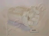 Filtry paliwa - Filtr paliwa Ashika 30-02-284 - miniaturka - grafika 1