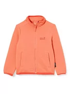 Kurtki i płaszcze dla chłopców - Jack Wolfskin Unisex dziecięca kurtka Modesto kurtka dziecięca różowy DESERT ROSE 104 - miniaturka - grafika 1