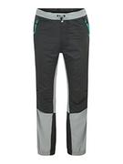 Spodenki męskie - 4F Męskie spodnie funkcyjne Spmtr062 FNK, antracytowe, L, antracytowy, L - miniaturka - grafika 1