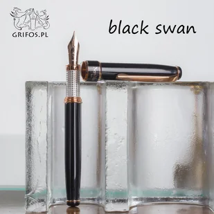 Pióro wieczne GRIFOS Black Swan - Pióra wieczne - miniaturka - grafika 1