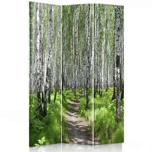 Parawan dwustronny FEEBY, Las Brzozy Natura 110x170 - Parawany - miniaturka - grafika 1