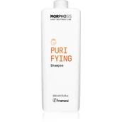 Szampony do włosów - Framesi Morphosis Purifying szampon oczyszczający przeciw łupieżowi 1000 ml - miniaturka - grafika 1