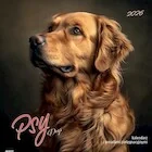 Kalendarz 2026 ścienny albumowy 30x30cm Psy - Kalendarze - miniaturka - grafika 1