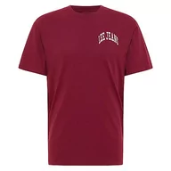 Koszulki męskie - Lee Męski t-shirt Varsity Tee, Rosa, L - miniaturka - grafika 1