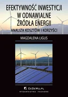 E-booki - biznes i ekonomia - Efektywność inwestycji w odnawialne źródła energii. Analiza kosztów i korzyści - miniaturka - grafika 1