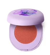 Róże do policzków - KIKO Milano Dreamphoria Heavenly Skin Blush Róż do Policzków 03 Spicy Rose - miniaturka - grafika 1