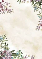 Szkolne artykuły papiernicze - Arkusze barwne Umbria 50 arkuszy A4 100g/m2 - miniaturka - grafika 1
