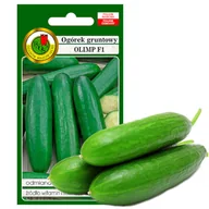 Nasiona i cebule - OGÓREK GRUNTOWY SAŁATKOWY OLIMP  NASIONA BEZ GMO 5g - miniaturka - grafika 1