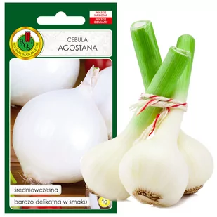 CEBULA AGOSTANA DELIKATNA WCZESNA NASIONA BEZ GMO - Nasiona i cebule - miniaturka - grafika 1