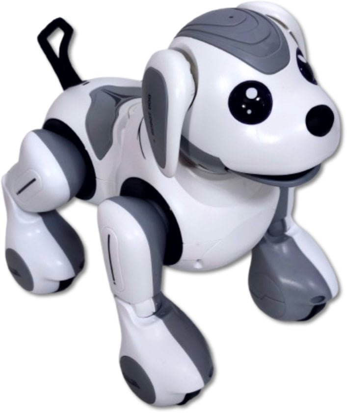 Interaktywny zdalnie sterowany Robot - Pies