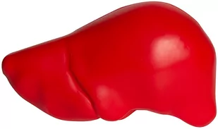 Wątroba Gniotek Antystresowy z Pianki - Zabawki sensoryczne - miniaturka - grafika 1
