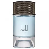 Wody i perfumy męskie - Dunhill Nordic Fougere woda perfumowana spray 100 ml - miniaturka - grafika 1