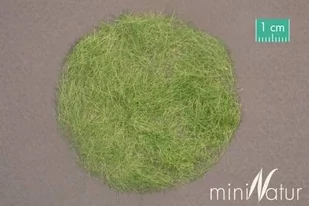 MiniNatur Trawa elektrostatyczna - Wczesnojesienna zieleń 50 g, 6,5 mm - Akcesoria do gier planszowych - miniaturka - grafika 1