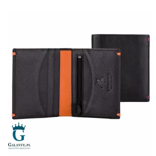 Portfelik męski Visconti AP-61 RFID - Portfele - miniaturka - grafika 1