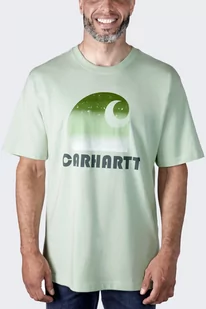 Koszulka męska T-shirt Carhartt Heavyweight C Graphic Tender Green - Koszulki sportowe męskie - miniaturka - grafika 1