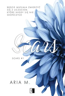 Scars - Romanse - miniaturka - grafika 1