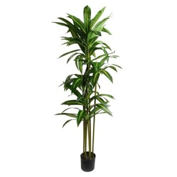 Roślina sztuczna drzewko Greenora egzotyczna dracena 160cm w doniczce Homla