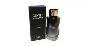 Reyane Tradition Gentle Elsatys woda perfumowana 100ml - Wody i perfumy męskie - miniaturka - grafika 1