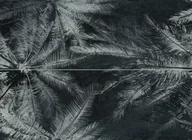 Płytki ceramiczne - Dekor ścienny 2-elementowy Tubądzin Sedona Palms 65,8x89,8 - miniaturka - grafika 1