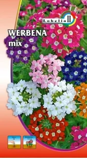 Werbena ogrodowa mix 0,3g / L / - Nasiona i cebule - miniaturka - grafika 1