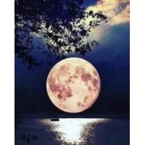 Norimpex Malowanie po numerach. Księżyc 40 x 50 cm - Malowanie po numerach - miniaturka - grafika 1